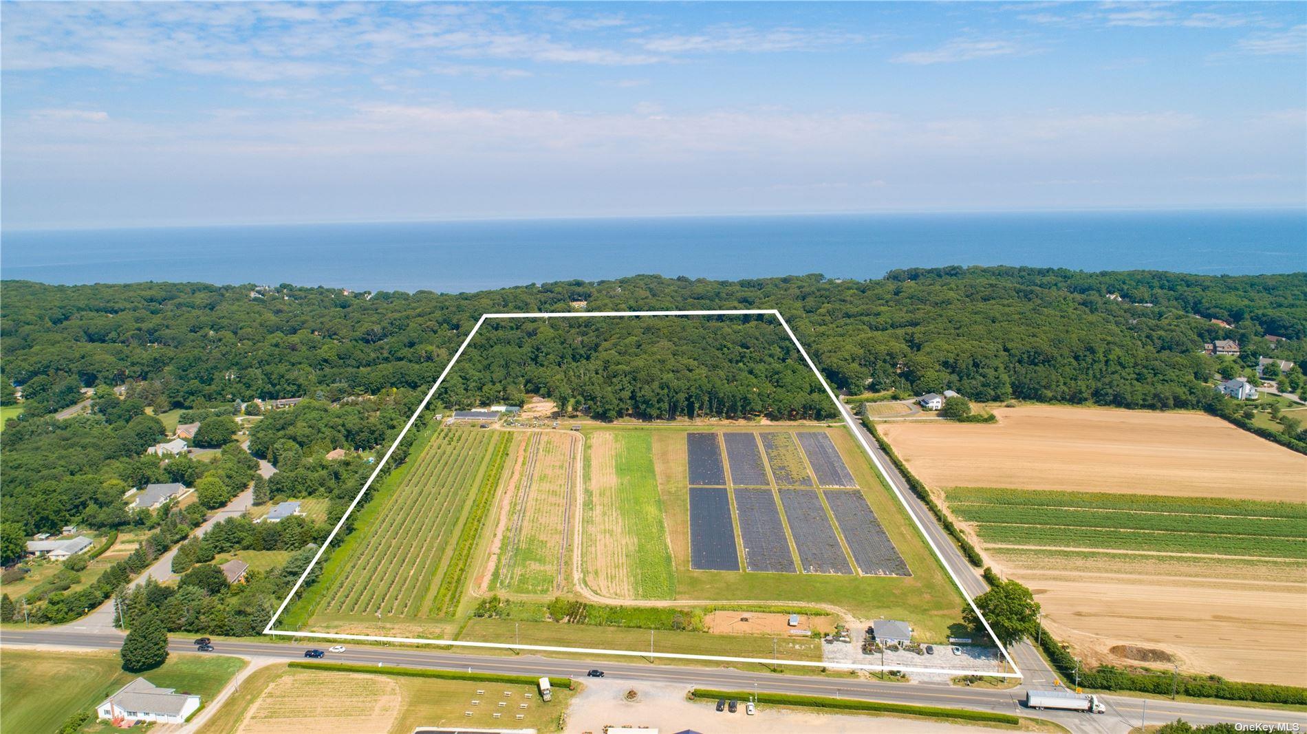 #13 photo, 3360 Sound Ave, サフォーク郡 Riverhead , NY 11901