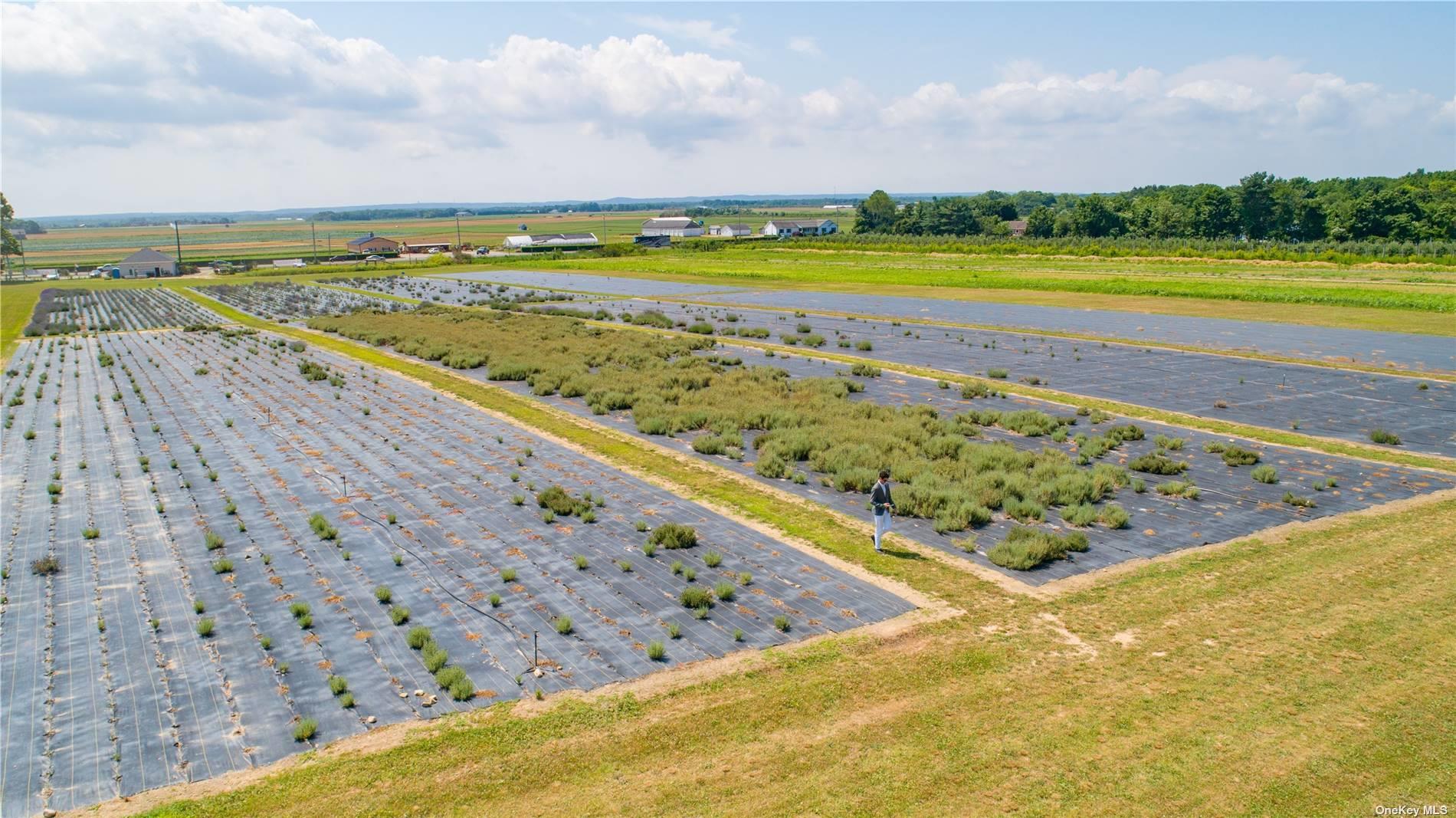 #14 photo, 3360 Sound Ave, サフォーク郡 Riverhead , NY 11901