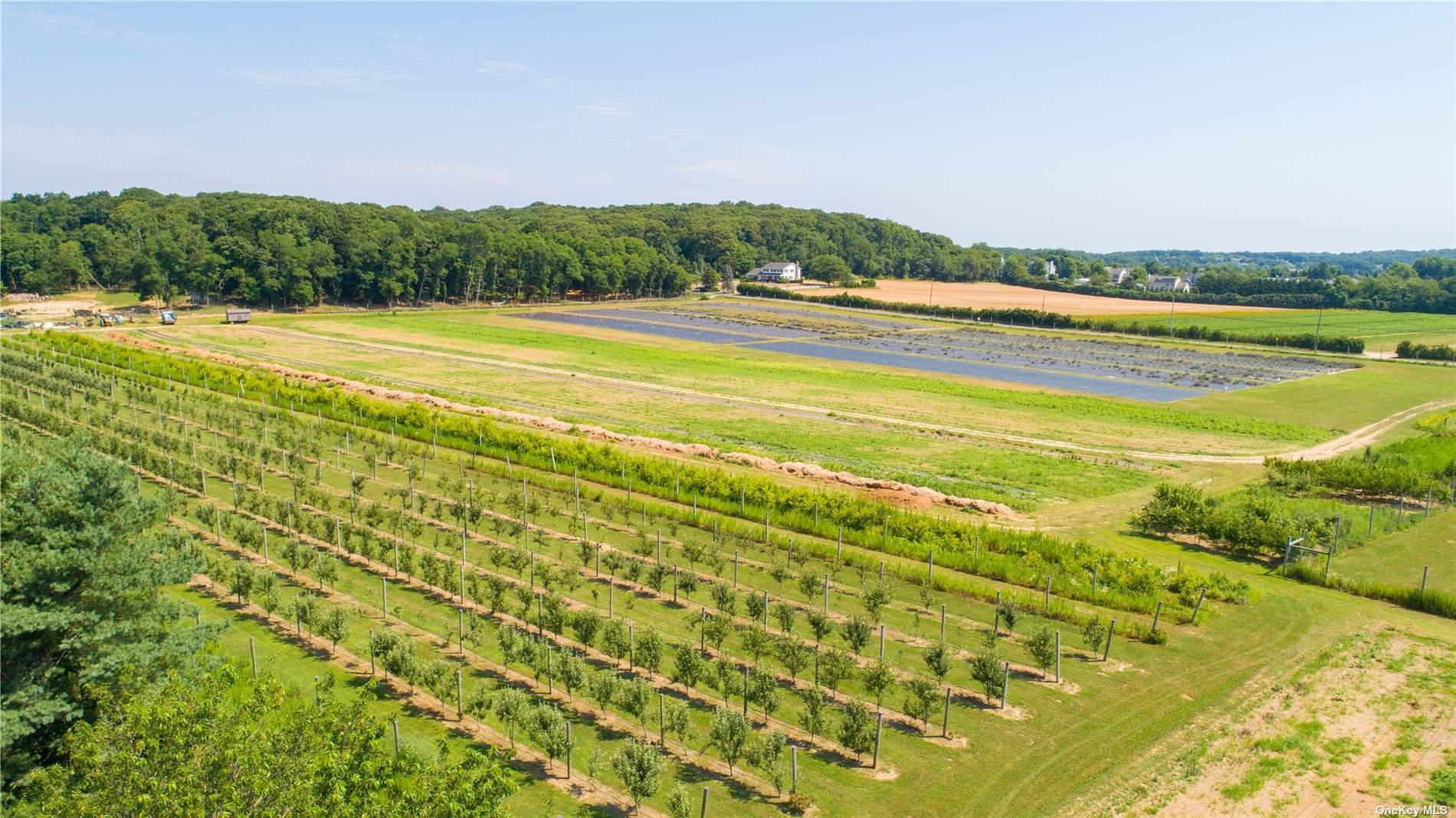 #15 photo, 3360 Sound Ave, サフォーク郡 Riverhead , NY 11901