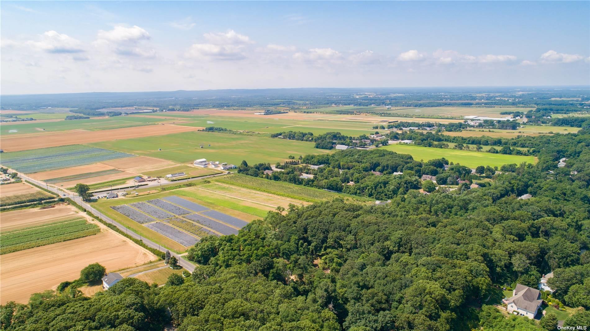 #17 photo, 3360 Sound Ave, サフォーク郡 Riverhead , NY 11901