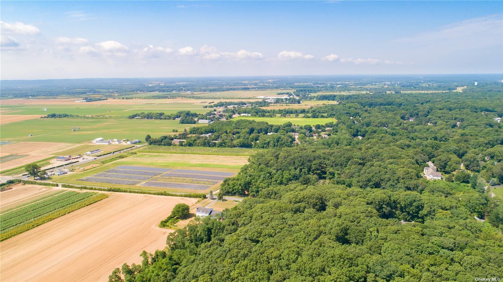 #18 photo, 3360 Sound Ave, サフォーク郡 Riverhead , NY 11901