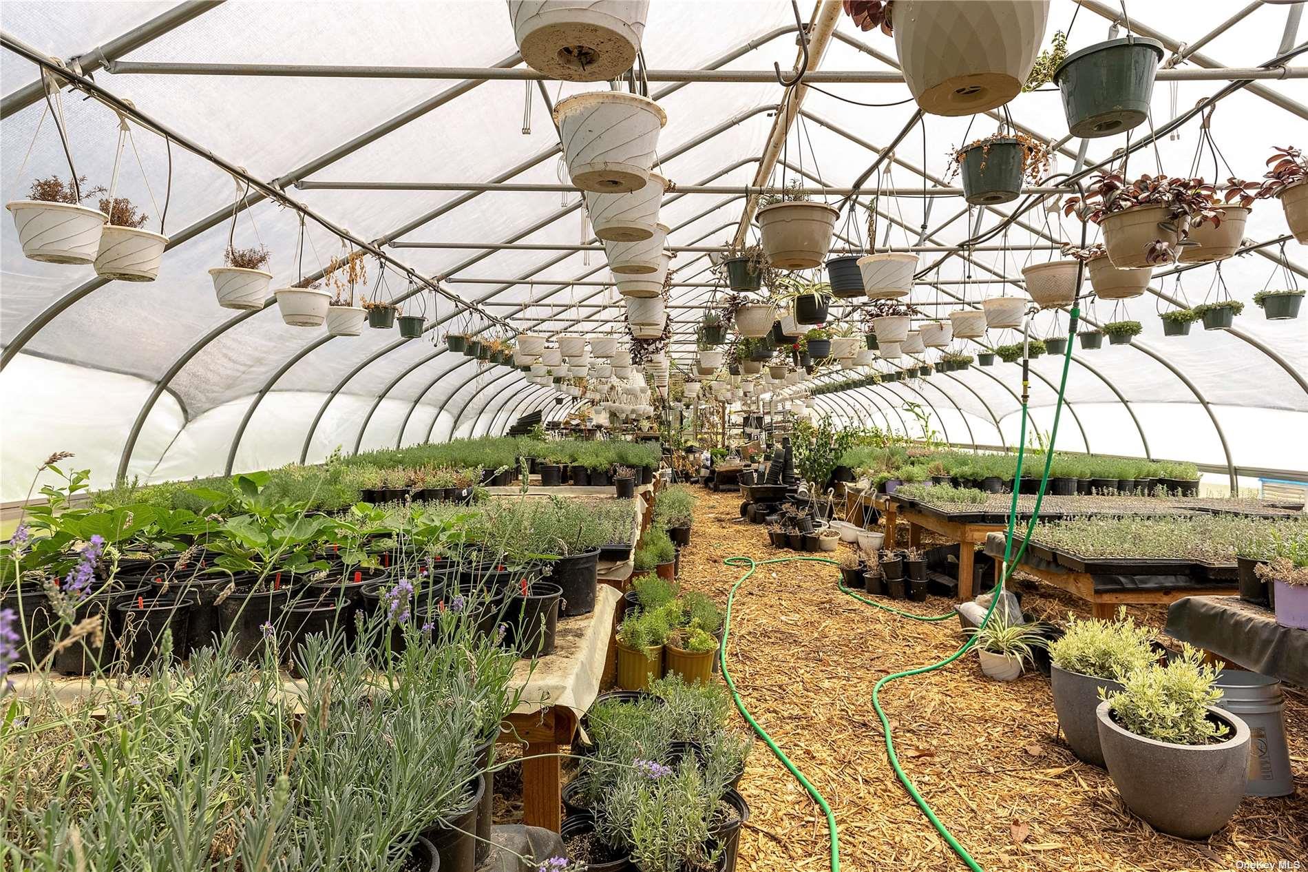 #7 photo, 3360 Sound Ave, サフォーク郡 Riverhead , NY 11901