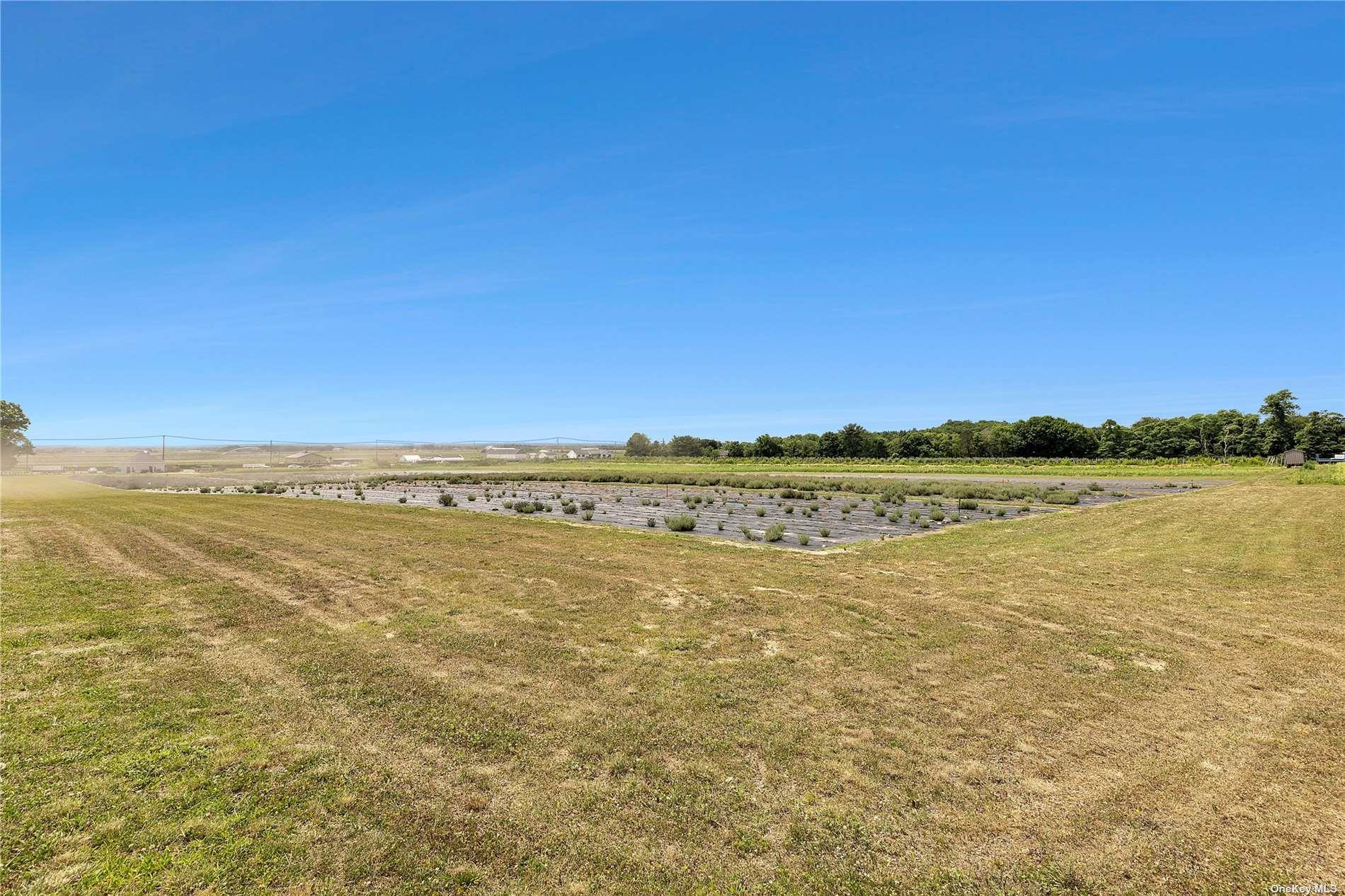 #9 photo, 3360 Sound Ave, サフォーク郡 Riverhead , NY 11901