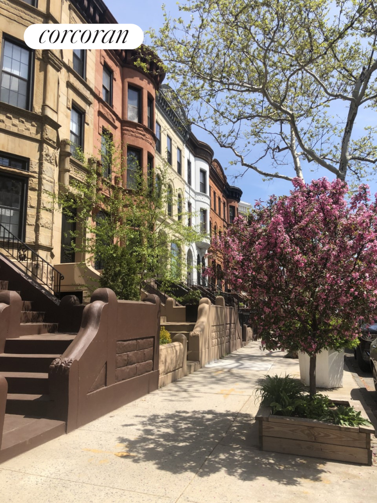 #1 photo, 659 Putnam Avenue, Stuyvesant Heights , NY 11221