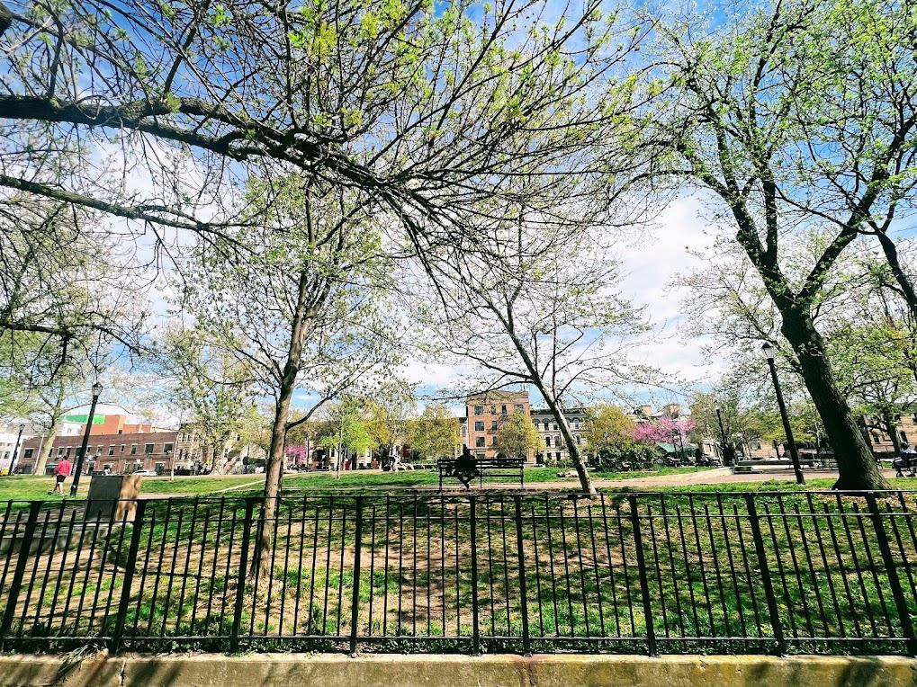 #1 photo, 263 WEIRFIELD Street, 布鲁克林 布什维克 Bushwick , NY 11221