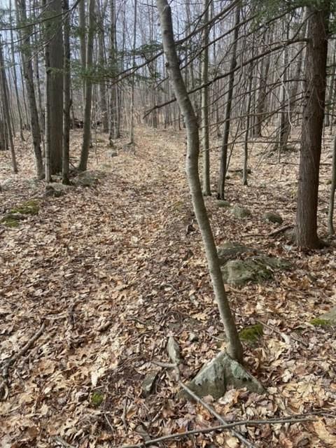 #3 photo, 219 Bailey Road, Jewett , NY 12444