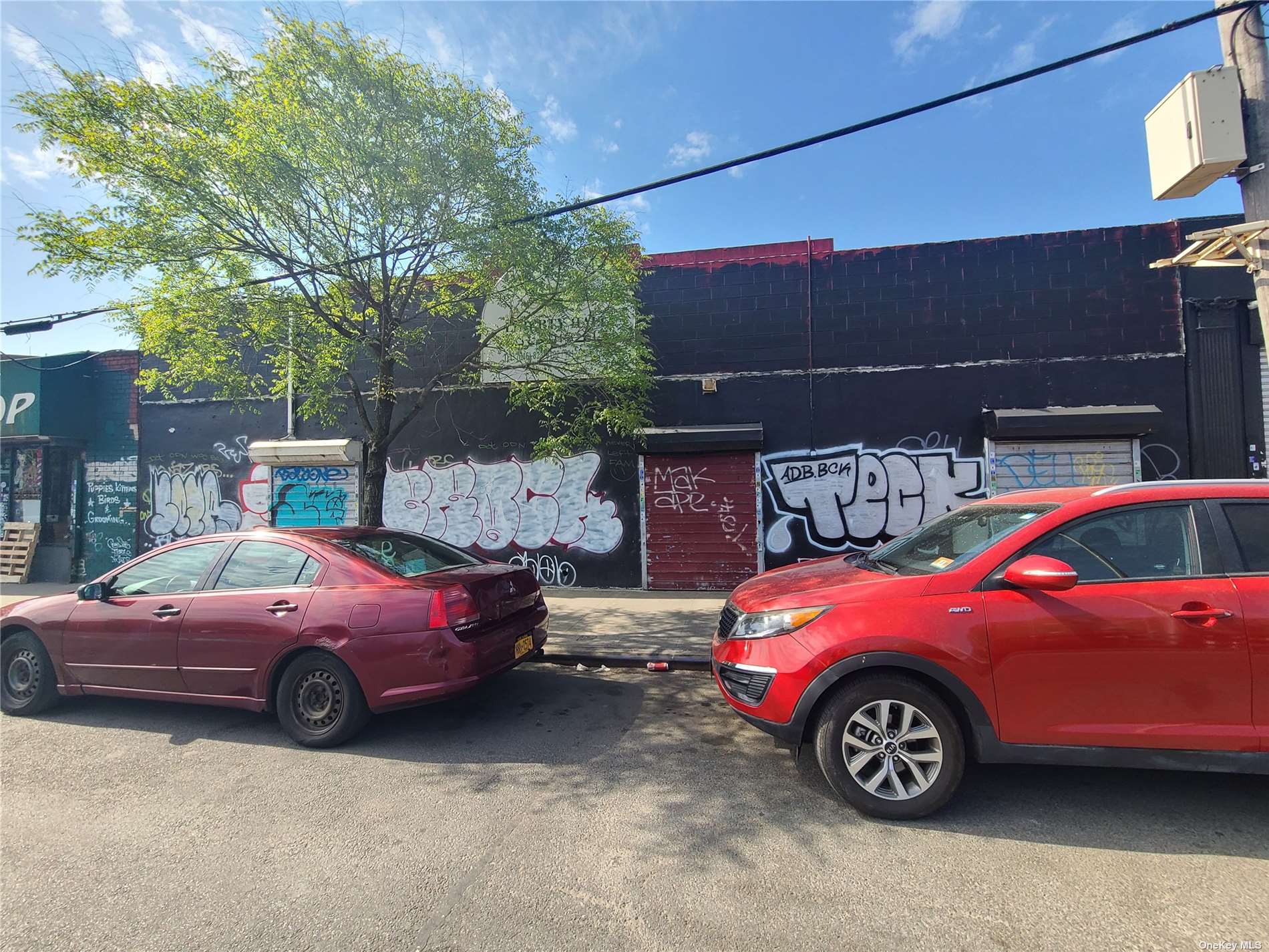 #1 photo, 2056 Cross Bronx Expressway, 布朗士 Bronx , NY 10472