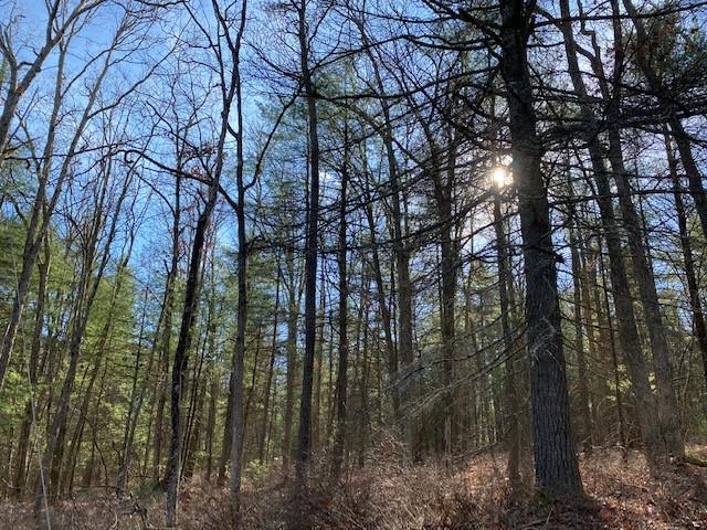 #10 photo, Magnolia Drive, Glen Spey , NY 12737