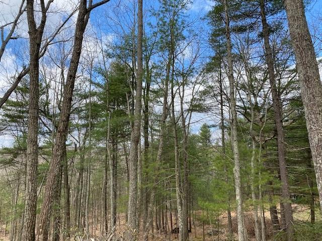 #6 photo, Magnolia Drive, Glen Spey , NY 12737