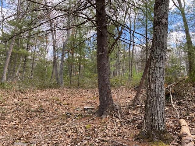 #7 photo, Magnolia Drive, Glen Spey , NY 12737