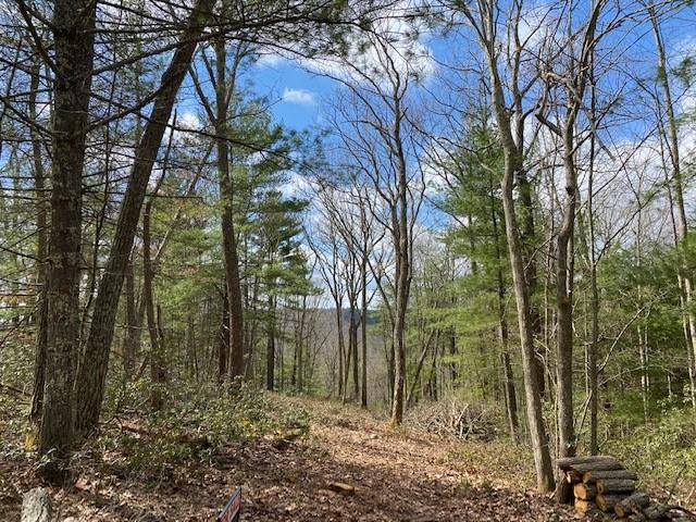 #9 photo, Magnolia Drive, Glen Spey , NY 12737