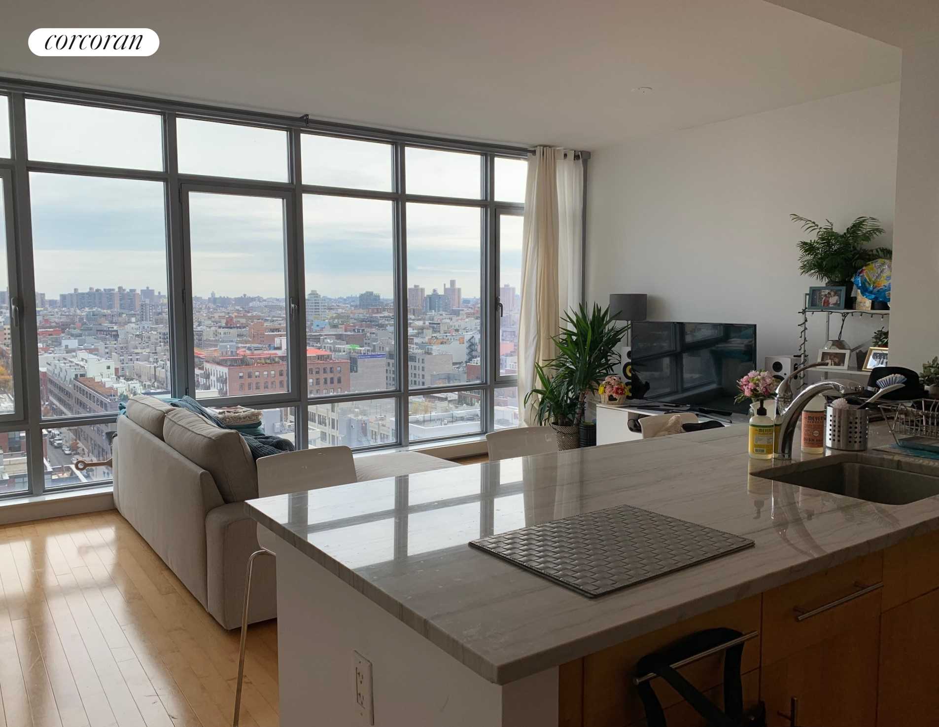 #1 photo, 1 NORTHSIDE PIERS, Williamsburg , NY 11211