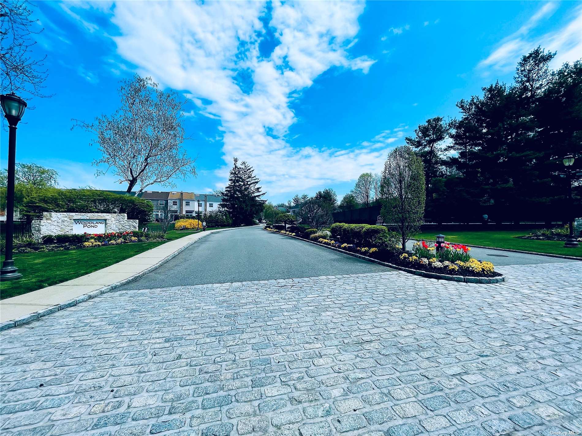 #1 photo, 10 Clubhouse Court, 长岛 Woodbury , NY 11797