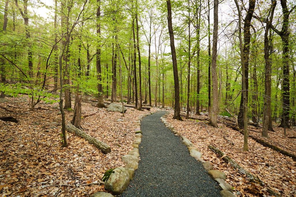 #12 photo, 1 Springhouse Road, Sloatsburg , NY 10974