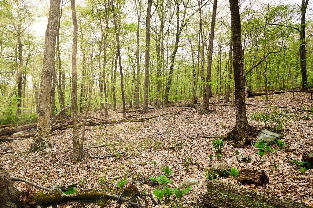 #14 photo, 1 Springhouse Road, Sloatsburg , NY 10974