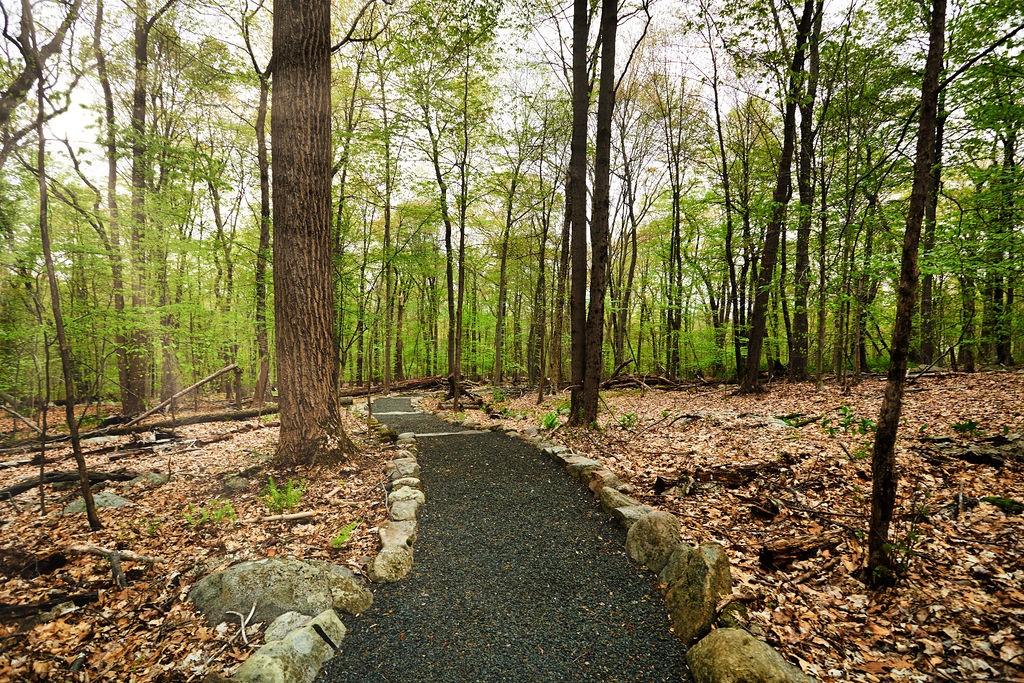 #15 photo, 1 Springhouse Road, Sloatsburg , NY 10974