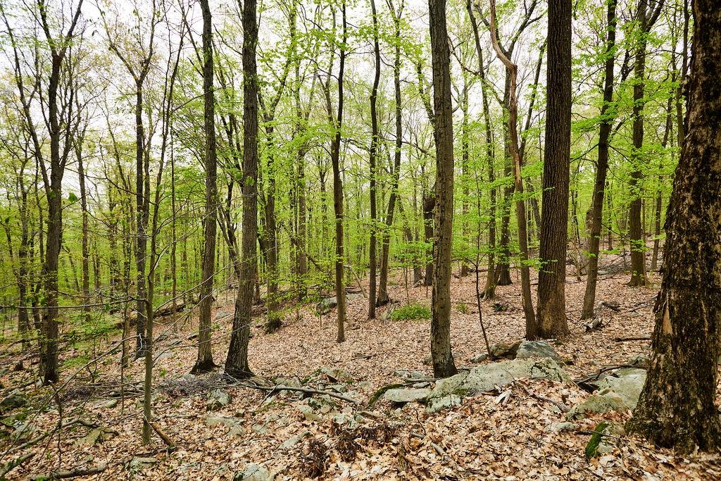 #18 photo, 1 Springhouse Road, Sloatsburg , NY 10974