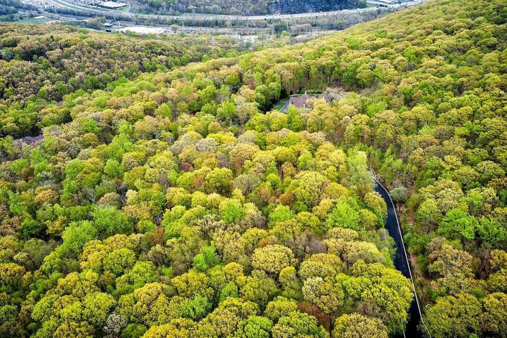 #4 photo, 1 Springhouse Road, Sloatsburg , NY 10974