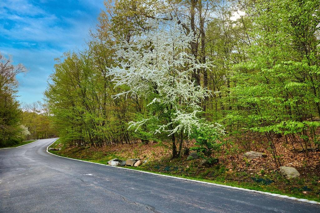 #5 photo, 1 Springhouse Road, Sloatsburg , NY 10974