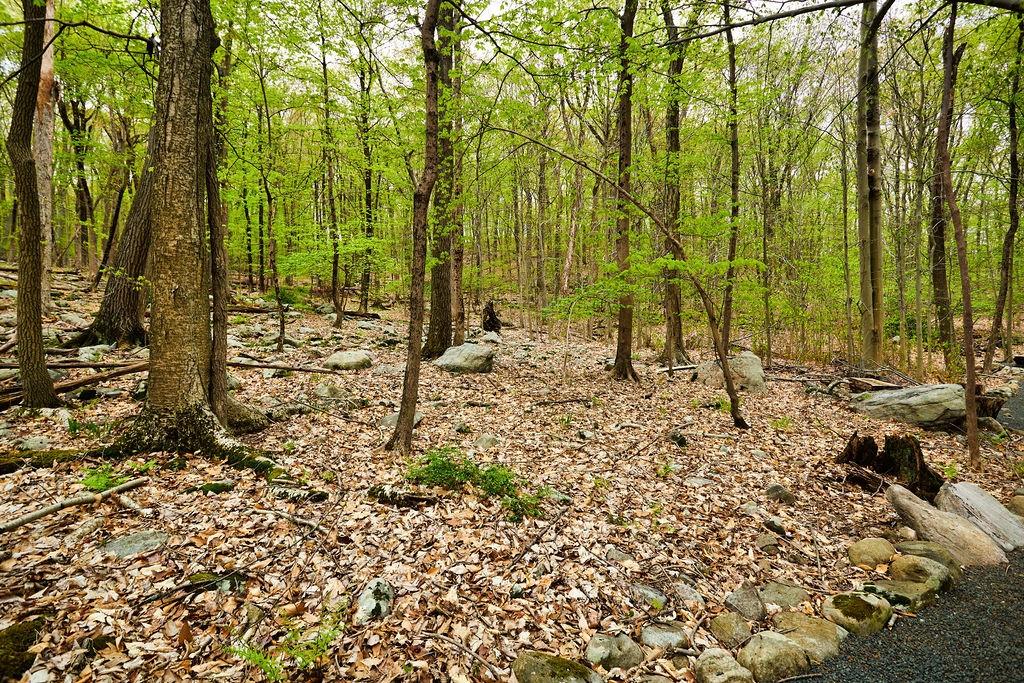 #7 photo, 1 Springhouse Road, Sloatsburg , NY 10974