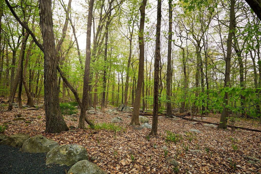 #9 photo, 1 Springhouse Road, Sloatsburg , NY 10974