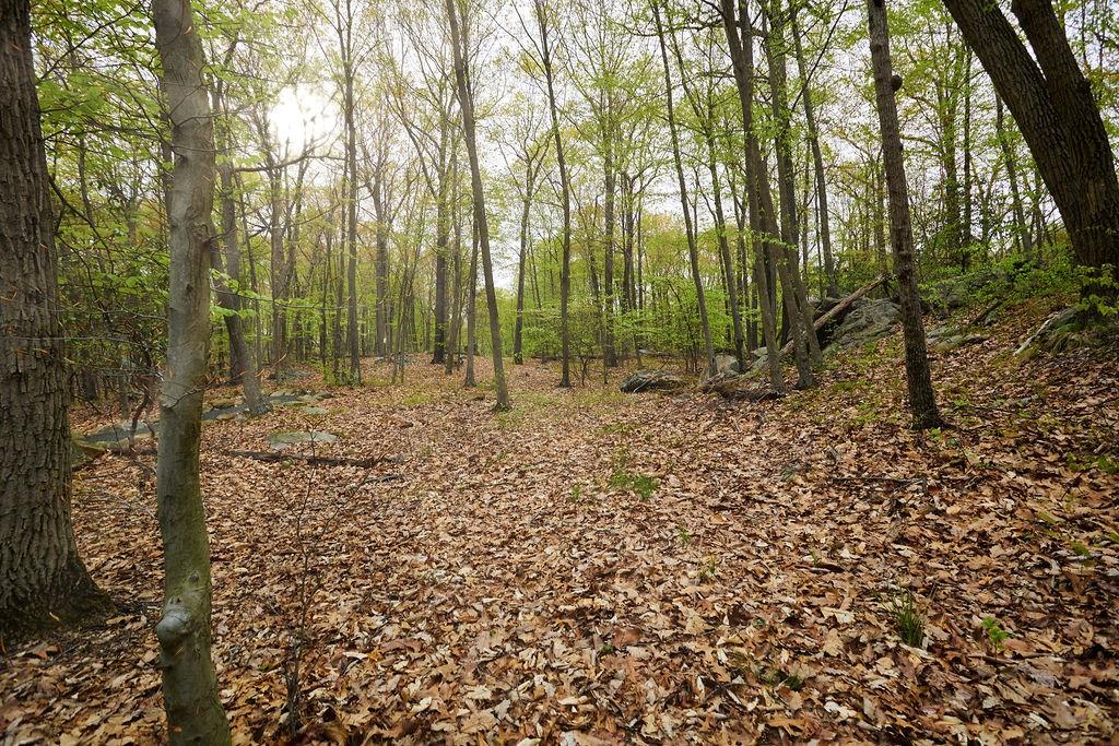 #10 photo, 7 Springhouse Road, Sloatsburg , NY 10974