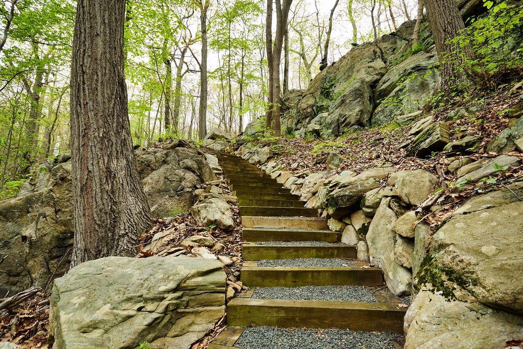 #15 photo, 7 Springhouse Road, Sloatsburg , NY 10974