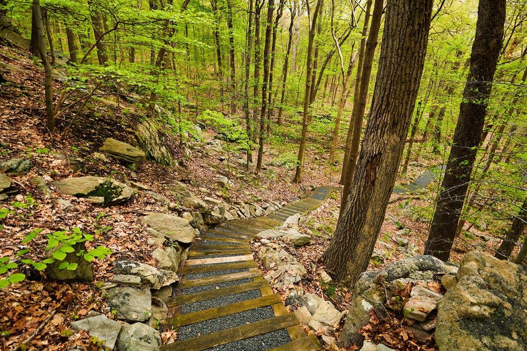 #17 photo, 7 Springhouse Road, Sloatsburg , NY 10974