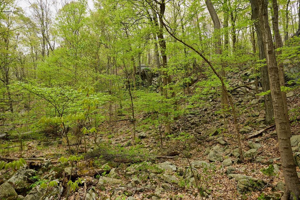 #18 photo, 7 Springhouse Road, Sloatsburg , NY 10974