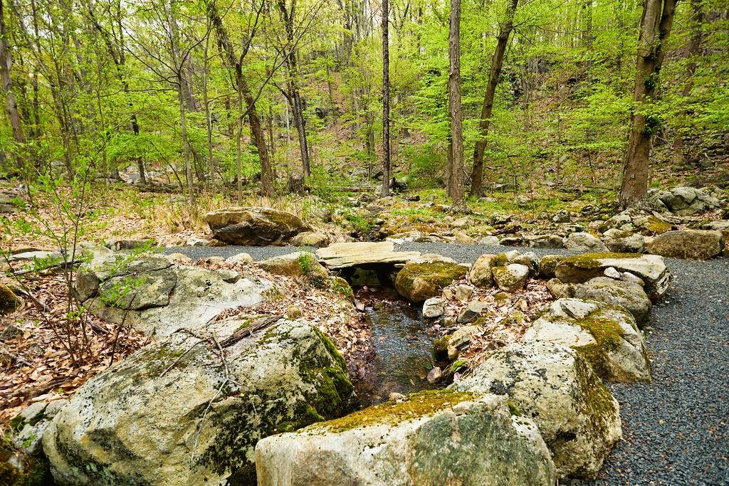 #19 photo, 7 Springhouse Road, Sloatsburg , NY 10974