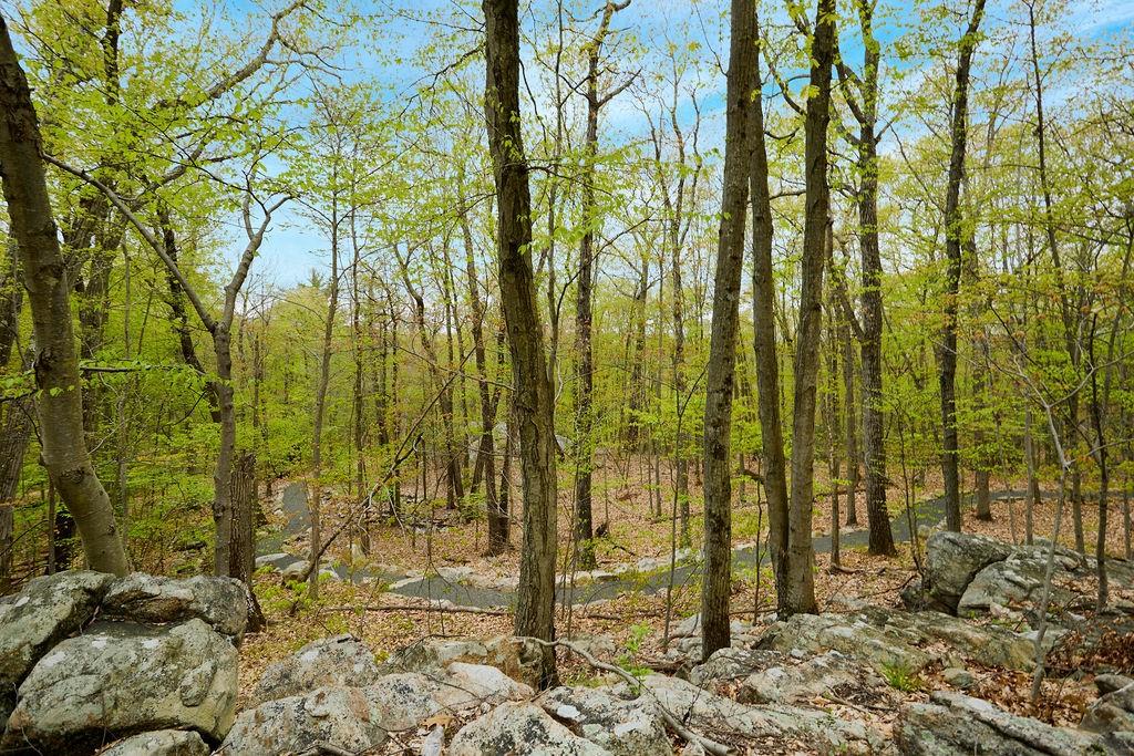 #5 photo, 7 Springhouse Road, Sloatsburg , NY 10974