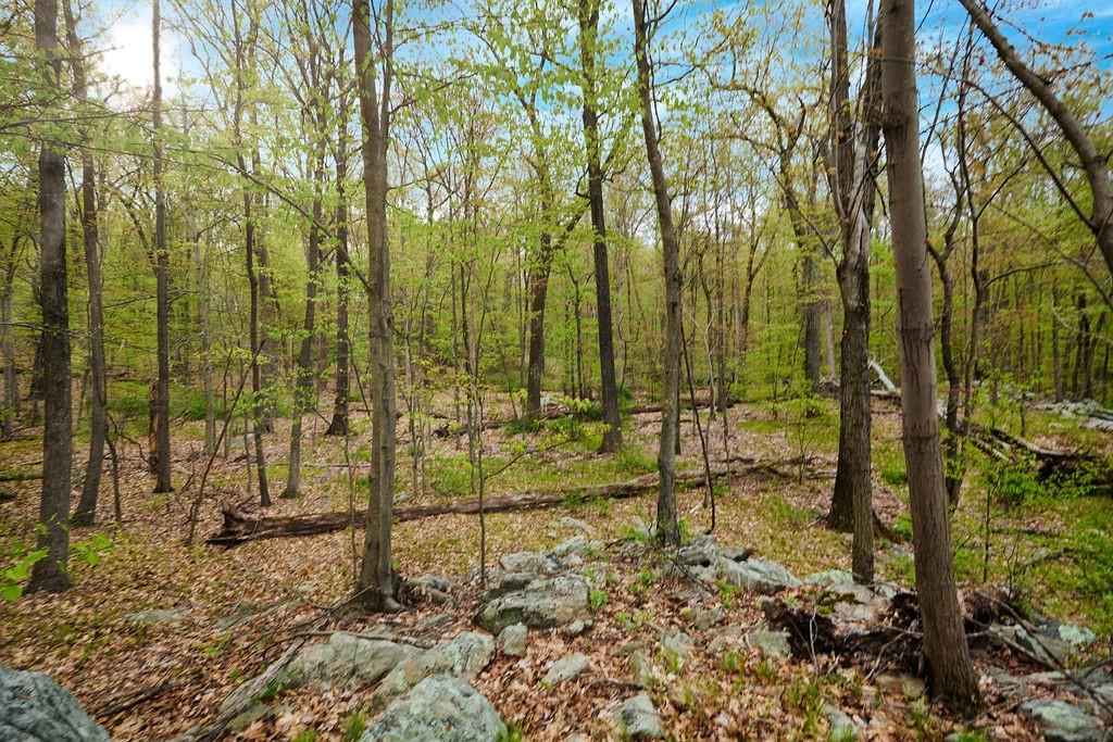 #6 photo, 7 Springhouse Road, Sloatsburg , NY 10974