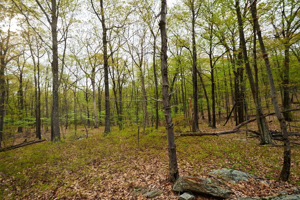 #7 photo, 7 Springhouse Road, Sloatsburg , NY 10974