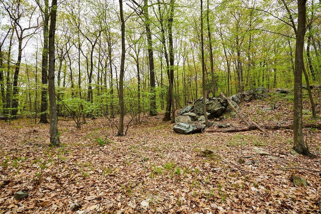 #9 photo, 7 Springhouse Road, Sloatsburg , NY 10974