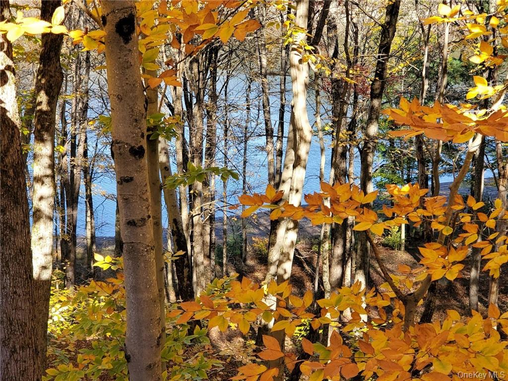 #13 photo, 97 Homestead Trail, White Lake , NY 12786