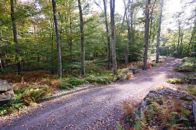 #3 photo, 97 Homestead Trail, White Lake , NY 12786