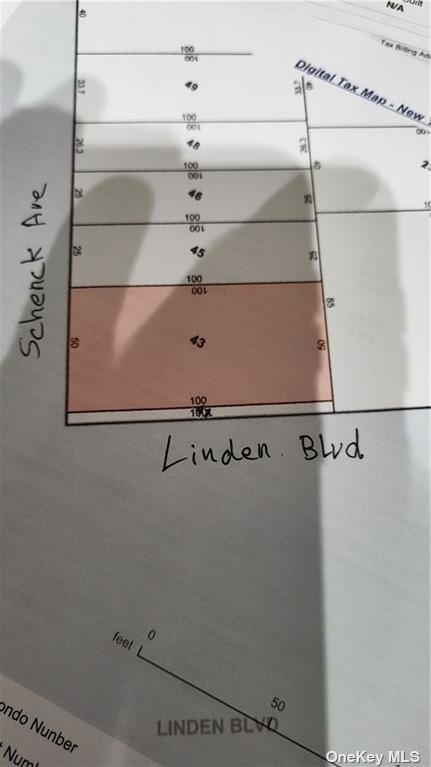 #1 photo, 2141 Linden Boulevard, 布鲁克林 East New York , NY 11207