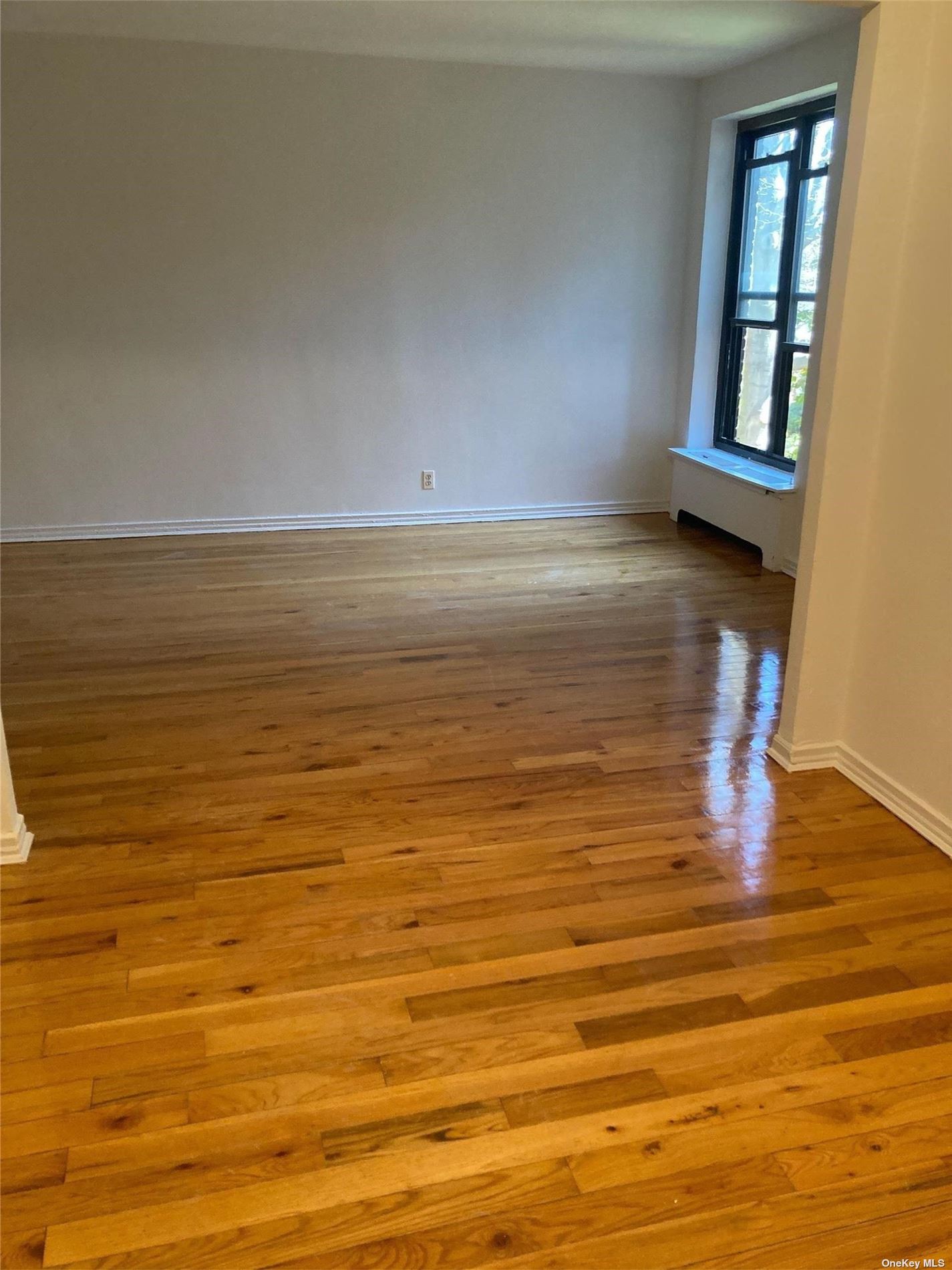 #1 photo, 23 Schenck Avenue, 长岛 大颈 Great Neck , NY 11021