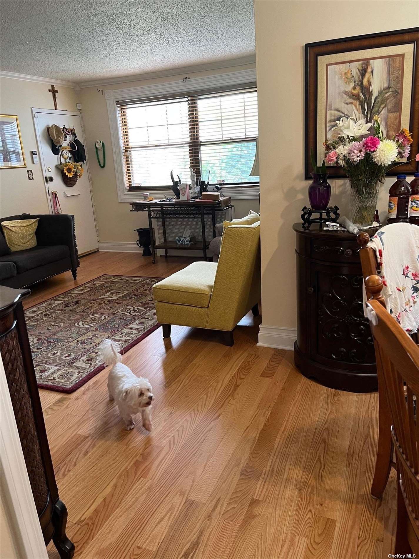 #1 photo, 13633 Jewel Avenue, 法拉盛 Flushing , NY 11367