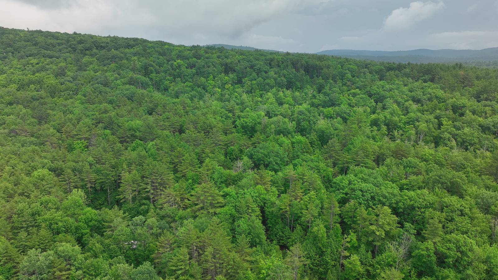 #12 photo, 164 SHIPPEE, CORINTH , NY 12822