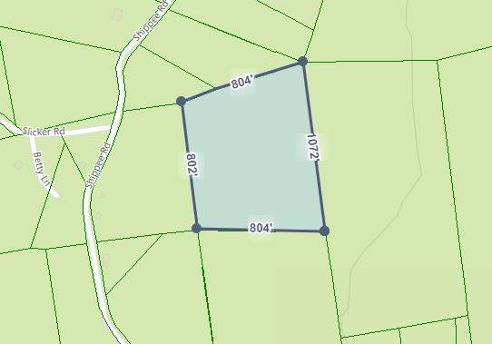 #27 photo, 164 SHIPPEE, CORINTH , NY 12822