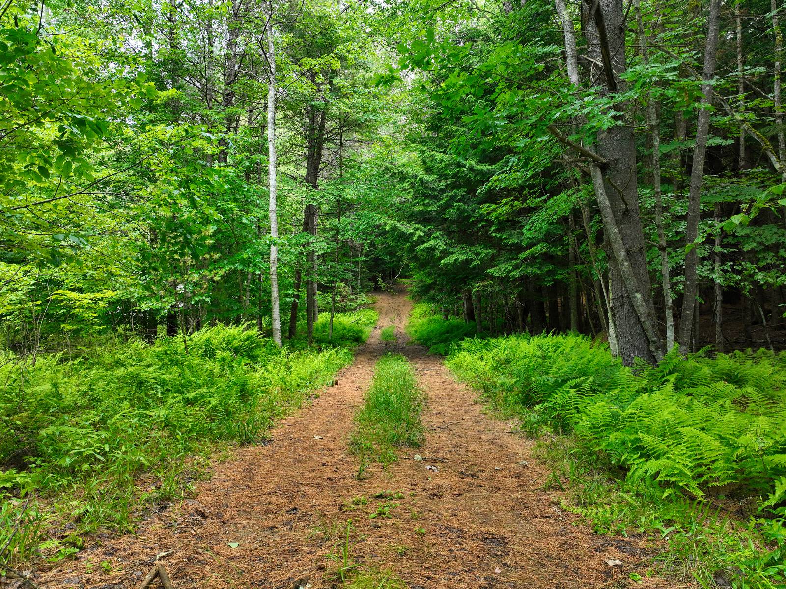 #4 photo, 164 SHIPPEE, CORINTH , NY 12822