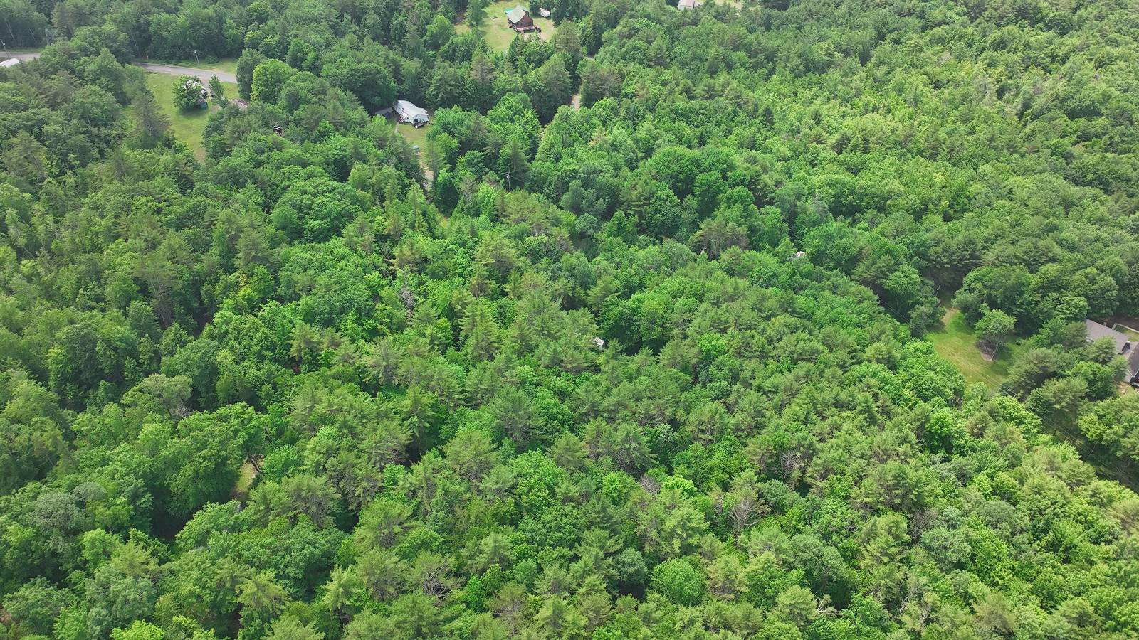 #9 photo, 164 SHIPPEE, CORINTH , NY 12822