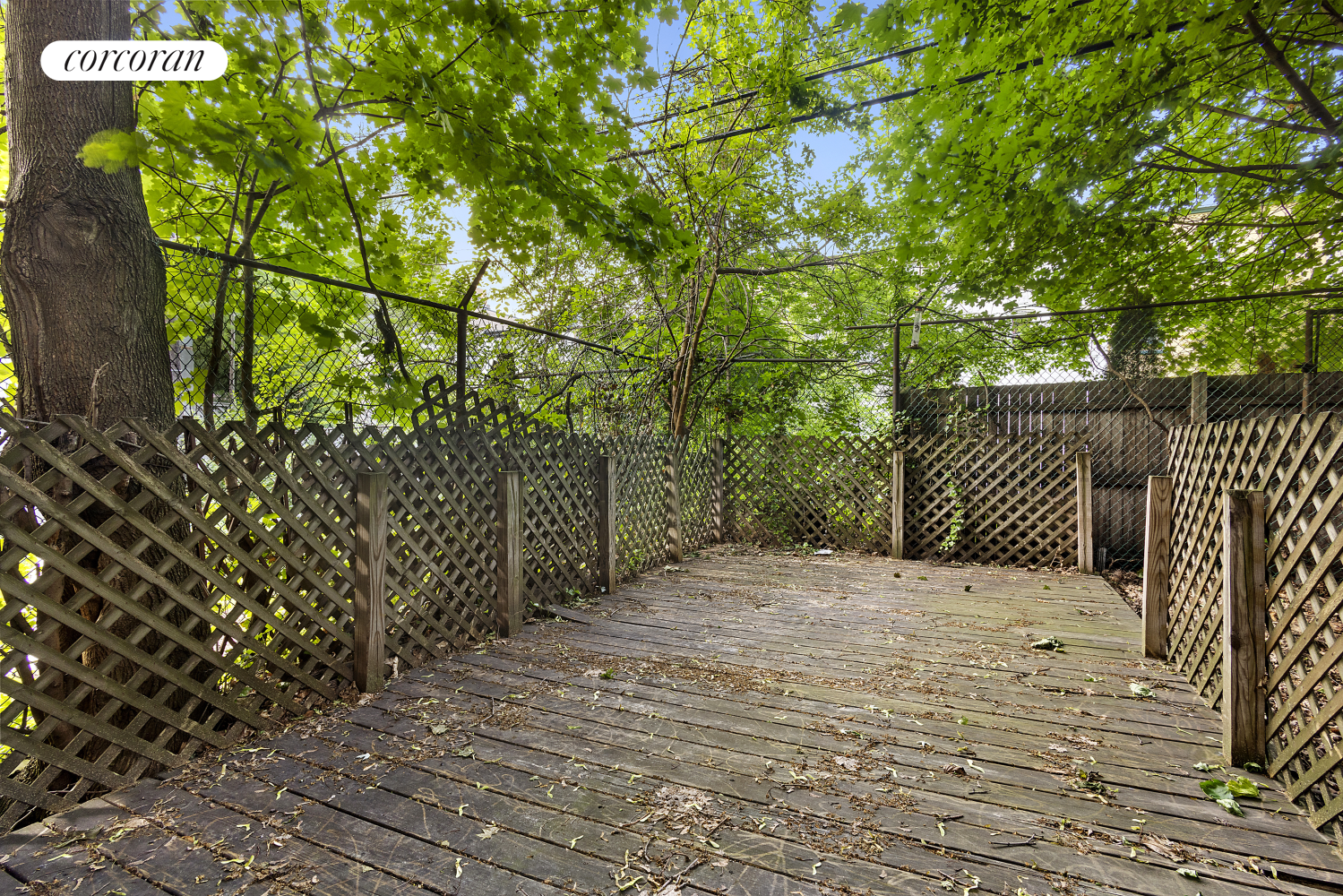 #1 photo, 647 PROSPECT Place, 布鲁克林 展望高地 Prospect Heights , NY 11238