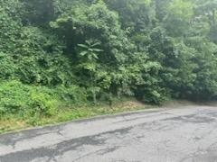 #6 photo, 45 Chatham Terrace, Yonkers , NY 10710