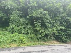 #9 photo, 45 Chatham Terrace, Yonkers , NY 10710