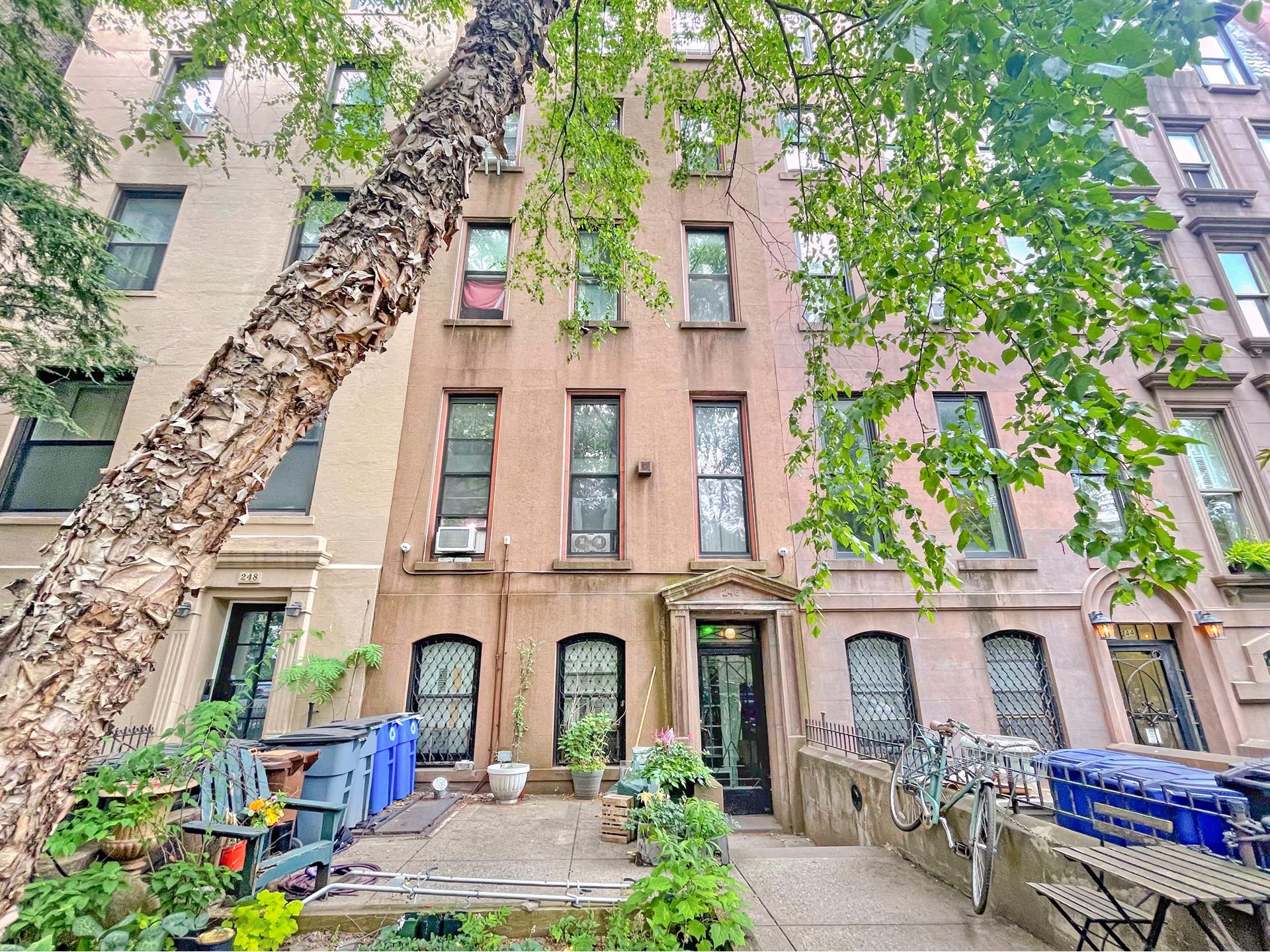 #1 photo, 246 WASHINGTON Avenue, 布鲁克林 克林頓丘 Clinton Hill , NY 11205