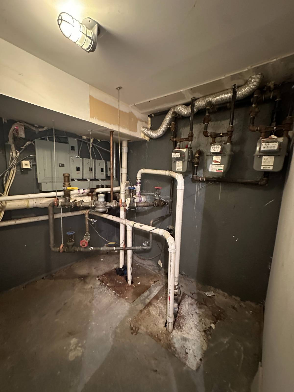 #12 photo, 807 Barbey Street, East New York , NY 11207