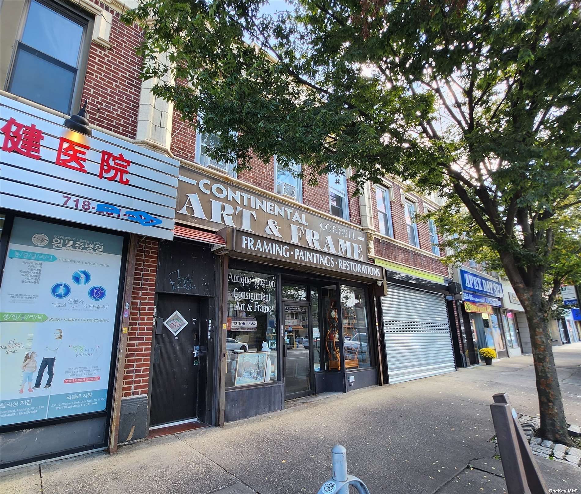 #1 photo, 255-10 Northern Boulevard, 皇后区 小颈 Little Neck , NY 11362