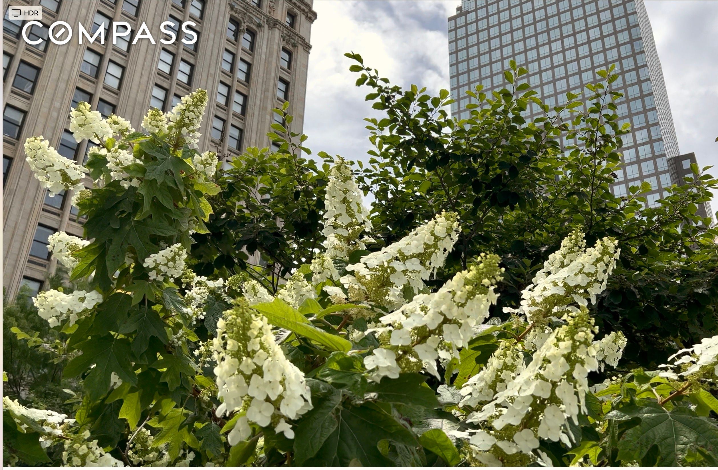 #1 photo, 67 Liberty Street, Financial District , NY 10005